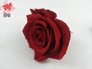 China Japanese preserved red rose flowers for wedding flower stands Natural Fresh flower rose on sale