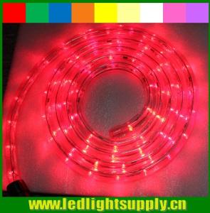 Quality outdoor christmas rope light 12/24v 1/2'' 2 wire led rope lights for sale
