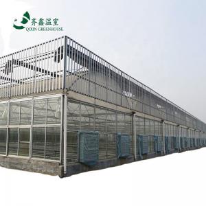 China Inside Shading System Mushroom Greenhouse Equipment for Vegetable Fruits and Flowers on sale