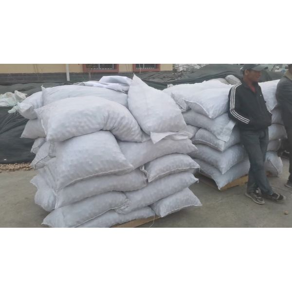 Factory 1kg Walnuts Price Walnut Halves Wholesale China Top Thin Raw Amber 25kg/bag Packaging Raw Dried Walnut Kernel Dried Nuts