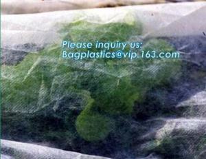 Quality high quality PP nonwoven fabric agriculture Cover Non Woven Fabric agriculture fabric plant cover fruit bags, bagease for sale