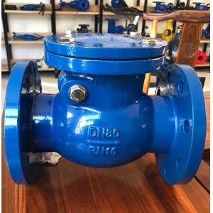 cast iron DIN resilient seal flanged check valve