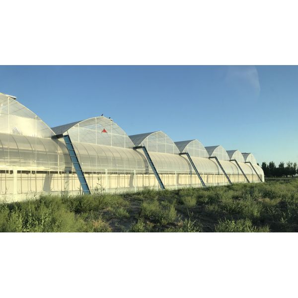 Galvanized Skeleton Cover Film for Agricultural Product in Shouguang Easy to Install