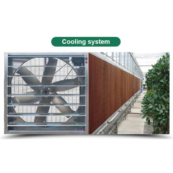 Greenhouse Grow Tent for Single-Span Agricultural Greenhouses and Indoor Growing