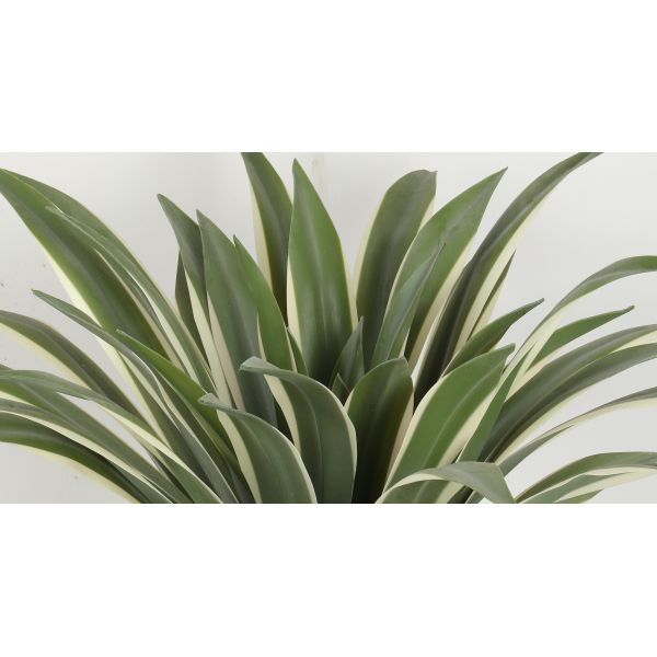 36 CM 40 CM 60 CM Artificial Agave Americana