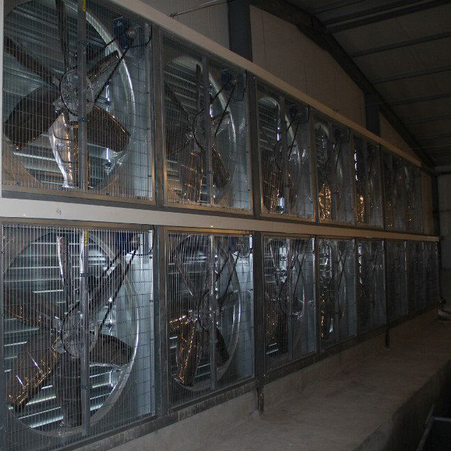 Laying Eggs Automatic Chicken Cage , Large Scale Farm Free Range Chicken Cage