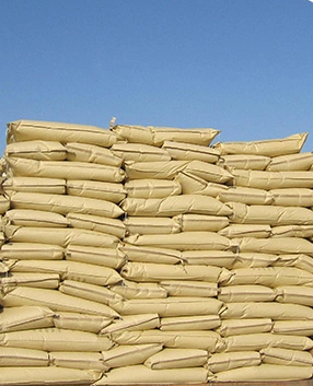 Non GMO Hybrid Mega Bulk Large Size Snow White Pumpkin Seeds Wholesale China Sunflower Seeds Raw Material for Oil Extraction