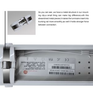 Black LED Linear Lighting System