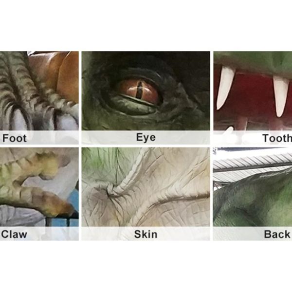 Interactive Electric Realistic Dinosaur Model For Theme Park / Shopping Mall