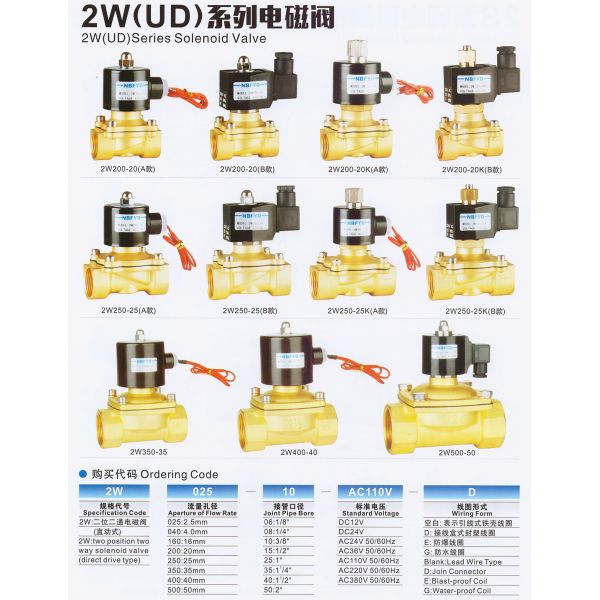 220V 110V 1/2 Inch Brass Stainless Steel Solenoid Valve For Gas Heater Burner