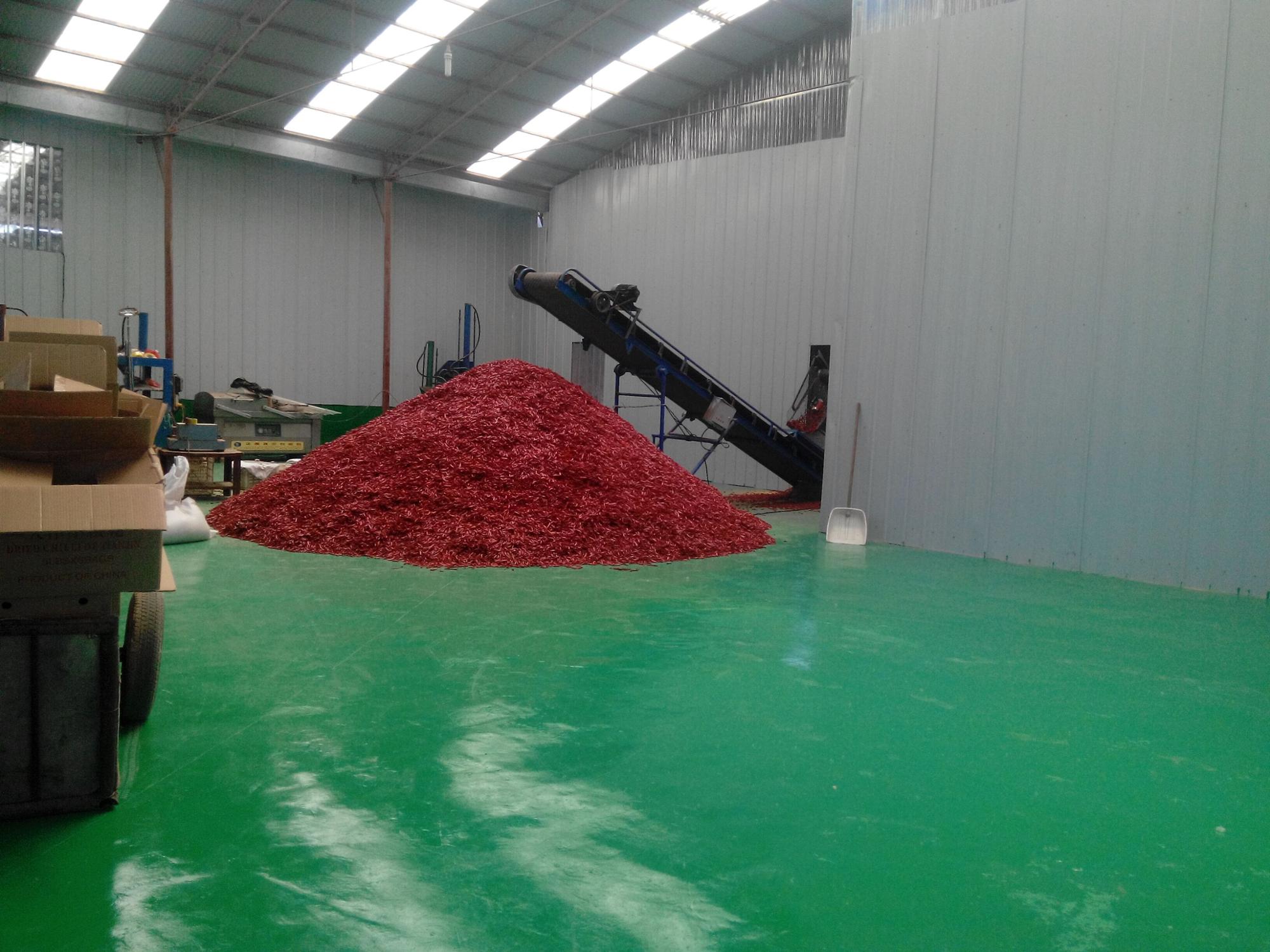 BRC Dehydrating Chillies Pasta Use Szechuan Dried Chili 14% Moisture