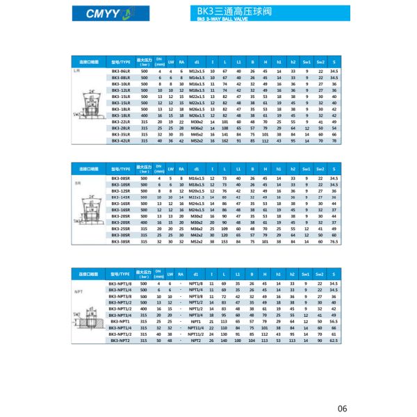EXW Thread Straight Hydraulic Ball Valve High Pressure Cut-Off Valves