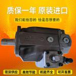 A4VSO125EO1/22R-PZB13N00 A4VSO180EO2/30R-VPB13N00 Injectionmoldingmachineplunger