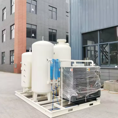 Vacuum Pressure Swing Adsorption Oxygen Generator