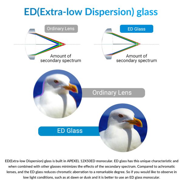 12X50 ED Telescope Phase Correction Coated BAK4 Prism Binoculars For Hiking Traveling