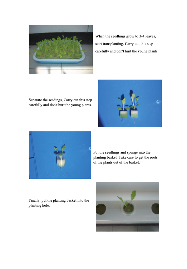 Indoor Farming Custom Soilless NFT Hydroponic System Nutrient Solution Cultivation