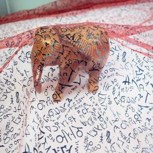 Quality Ronzing Printed Mesh 100% Polyester Soft Tulle Fabric for sale