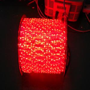 Quality 110V /220V led rope light for sale