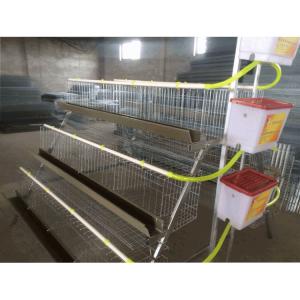 Electo Galvanized Chicken Layer Cage / Poultry Layer Cage Used For Chicken Farm