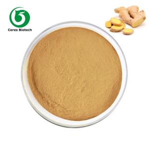 Quality Health Food Dehydrated Dried Ginger Powder Herbal Extract for sale