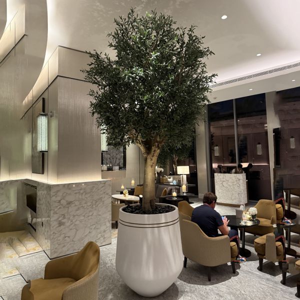 Factory Price Large Artificial Olive Tree, a Large Ornamental Fiberglass Tree for Indoor Restaurants and Shopping Malls