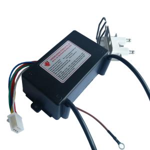 110V 220V Auto Electronic Pulse Igniter 50Hz Burner Spare Part