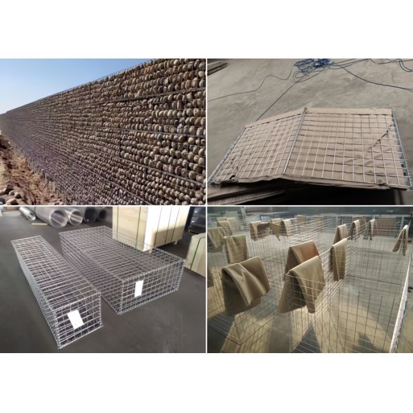 Electric welded wire mesh rolls 2.5mm Galvanized / SS