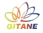 China Beijing Shougang Gitane New Materials Co., Ltd. logo
